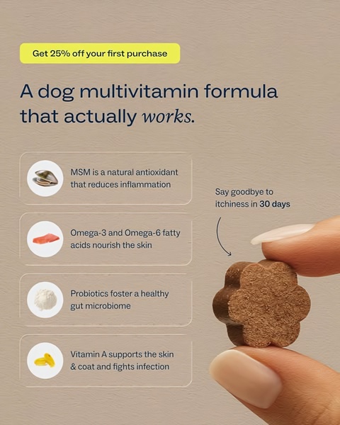 A clean, minimalist 4:5 ad creative that highlights specific ingredients and their health benefits for dogs, utilizing a professional hand-held product demonstration.